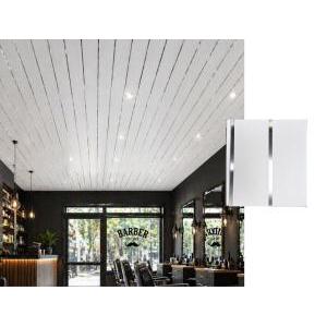 TABLILLA LAMBRIZ PLUS PVC PRATA 6mm(6mtsx20cm)